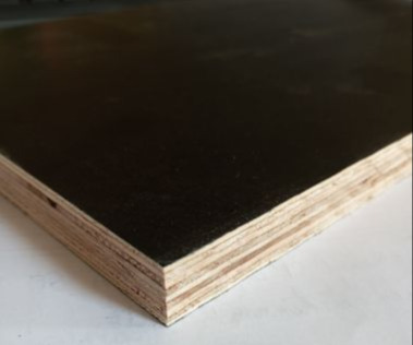 Combi Eucalyptus-Poplar Film Faced Plywood China